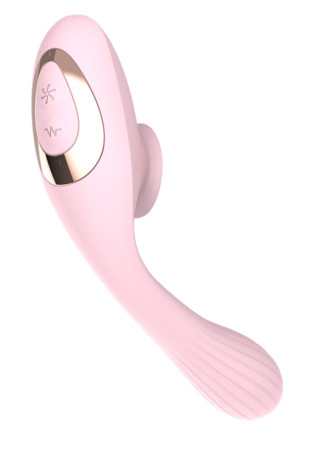 2 en 1 Stimulateur de clitoris avec langue et vibromasseur pour G USB flexible rose DISA - WS-NV025PNK